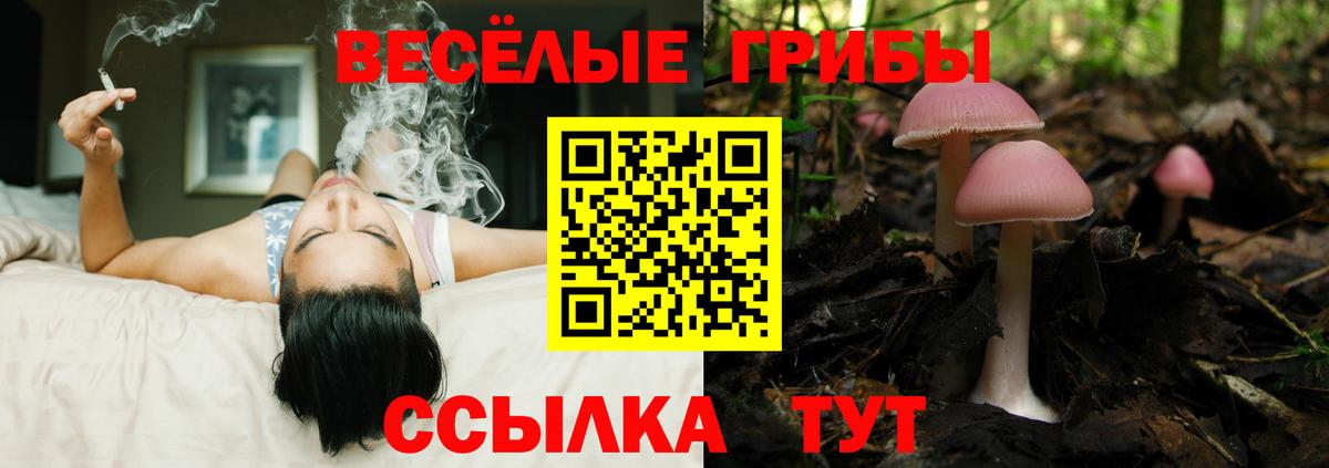 Псилоцибиновые грибы ЛСД Вичуга