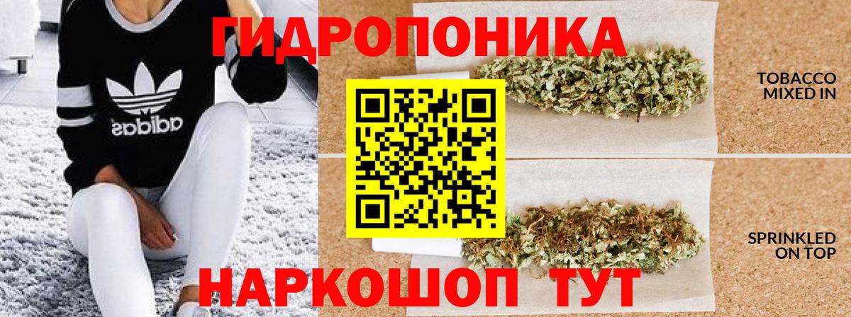 Вичуга  Шишки марихуана OG Kush  Вход с VPN  Бошки марихуана Bruce Banner  Бошки марихуана Ganja 